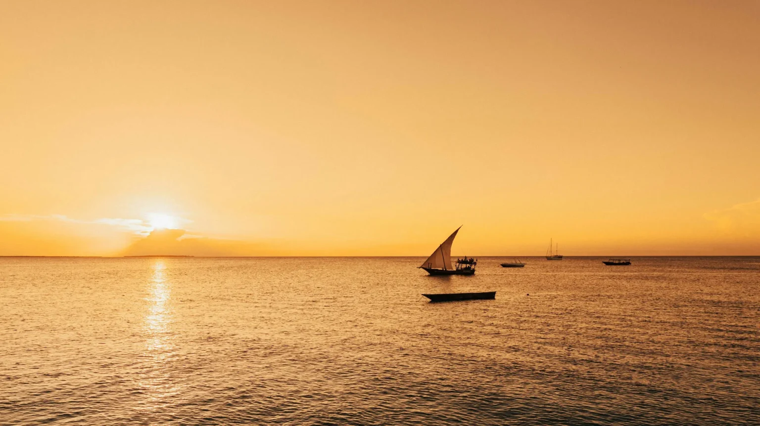Contact Lamu Dhow Adventures for your sailing experience
